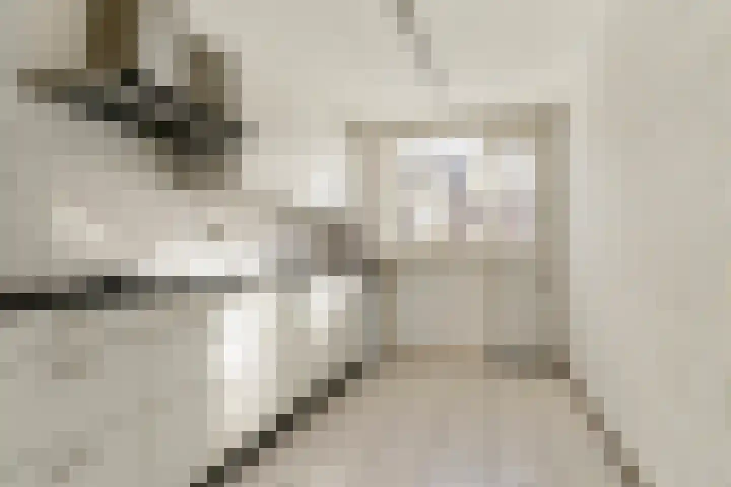 Faktorij 76 Alkmaar thumbnail 5