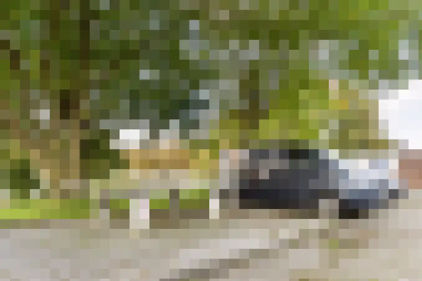 Faktorij 76 Alkmaar thumbnail 58
