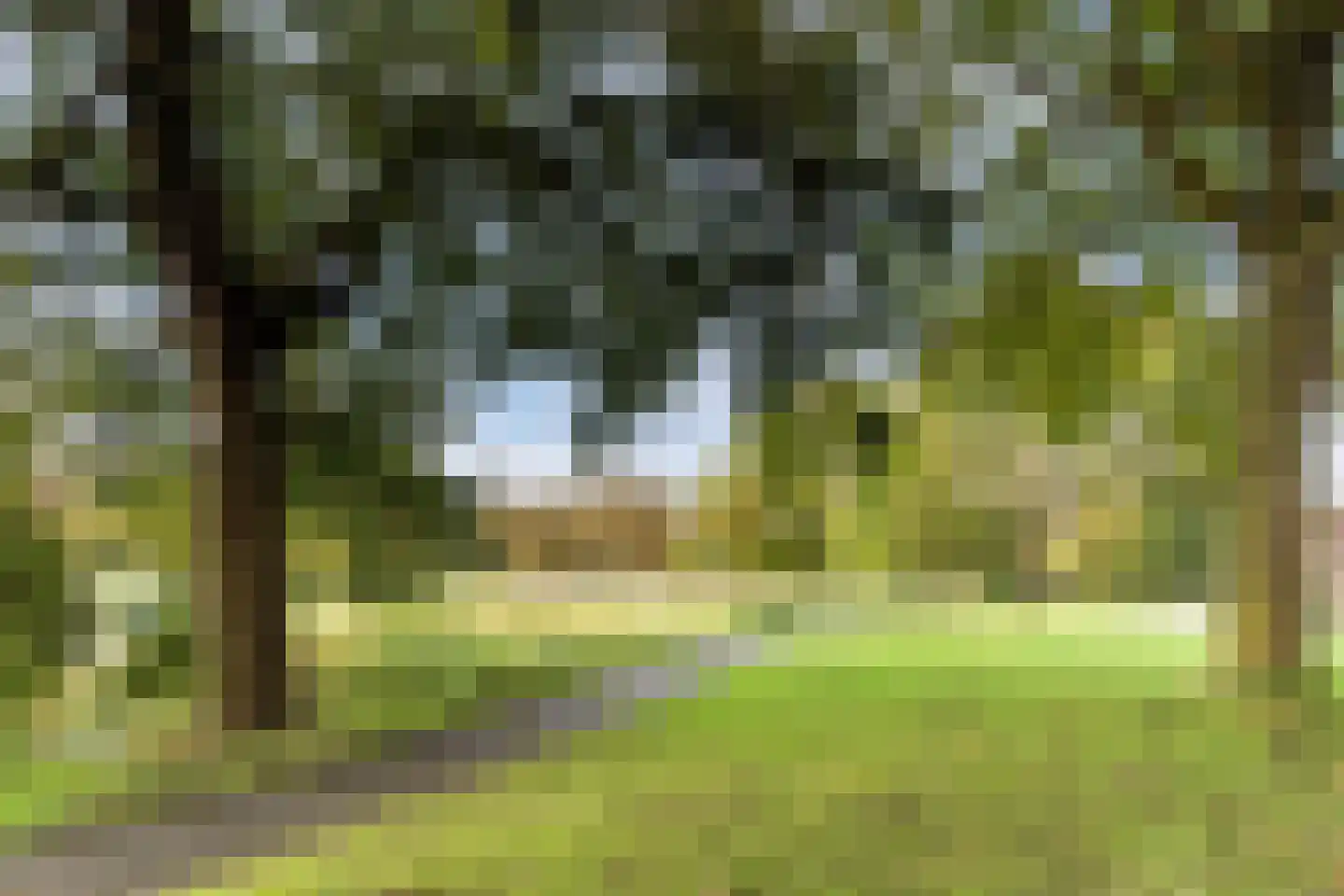 Faktorij 76 Alkmaar thumbnail 60