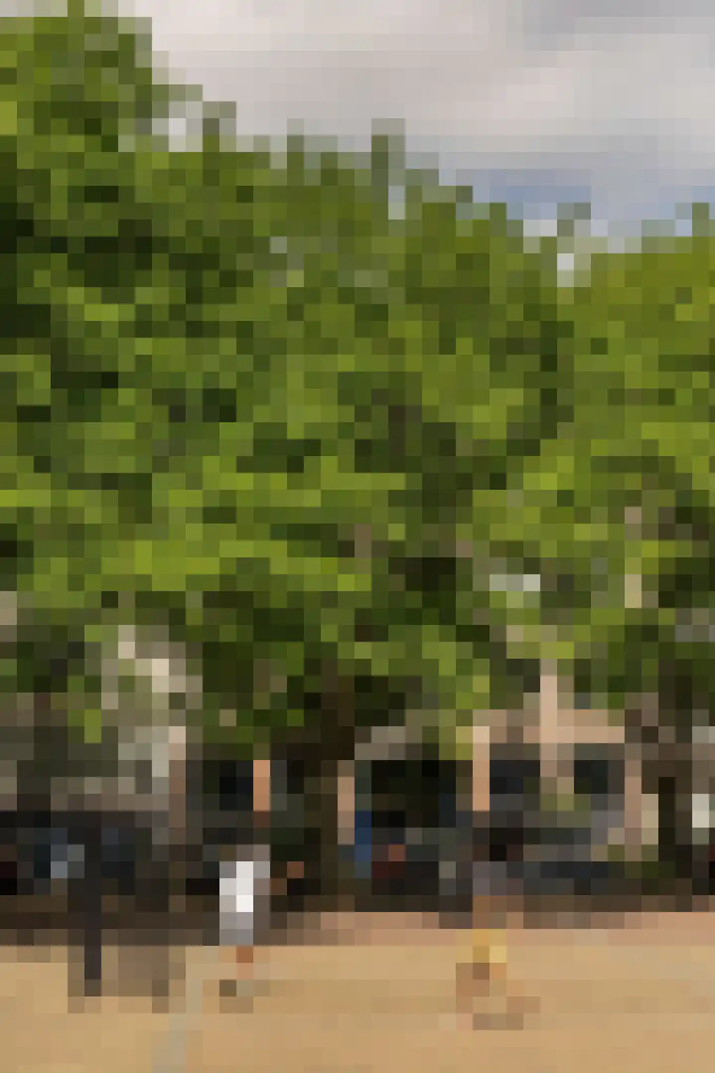 Falckstraat 33 Amsterdam thumbnail 26