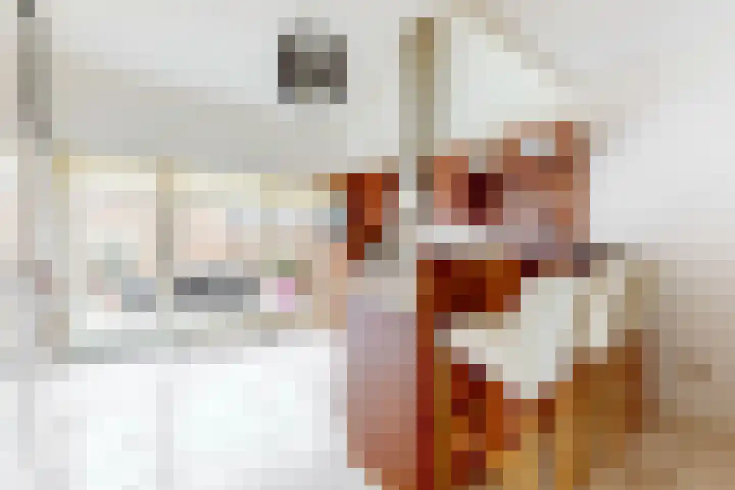 Falconstraat 10 Purmerend thumbnail 7