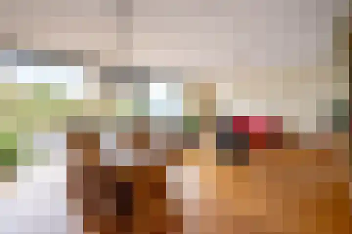 Falconstraat 21 Purmerend thumbnail 12