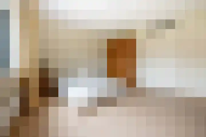 Falconstraat 21 Purmerend thumbnail 25