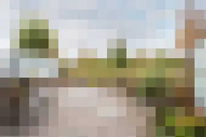 Falconstraat 21 Purmerend thumbnail 35