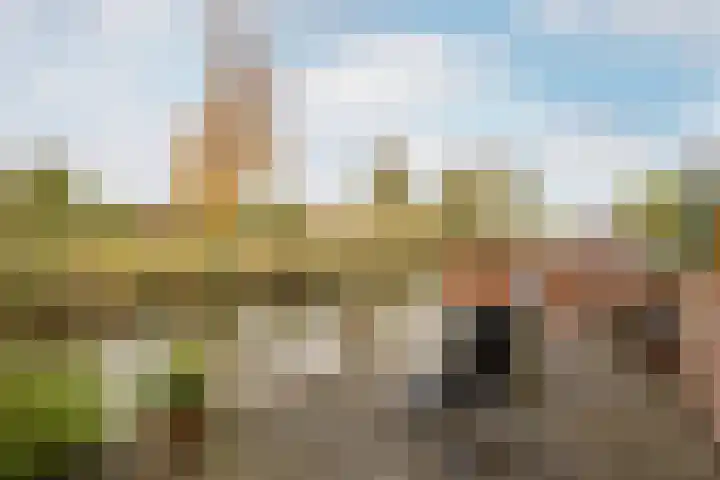 Falconstraat 21 Purmerend thumbnail 38