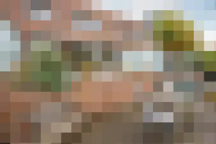 Falconstraat 21 Purmerend thumbnail 39