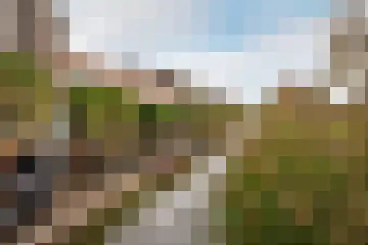 Falconstraat 21 Purmerend thumbnail 41
