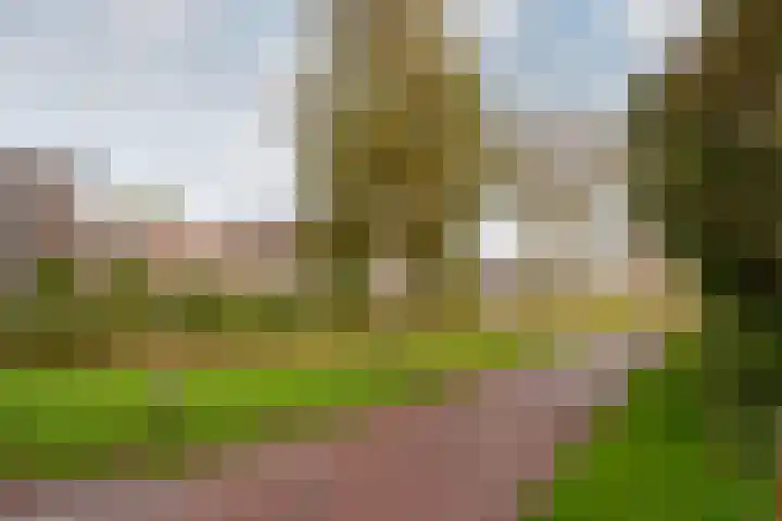 Falconstraat 21 Purmerend thumbnail 43