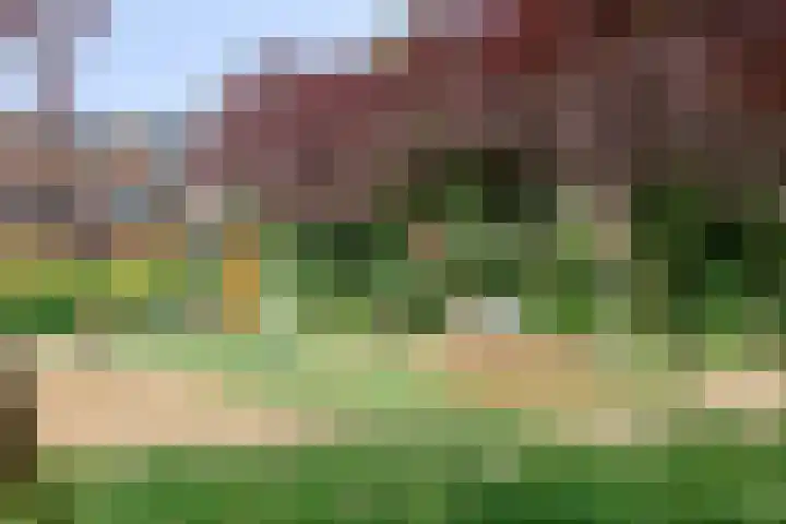 Falconstraat 38 Purmerend thumbnail 26