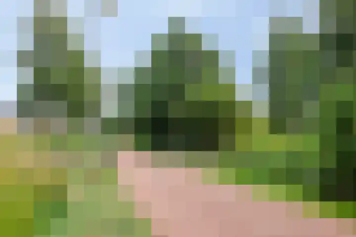 Falconstraat 38 Purmerend thumbnail 28