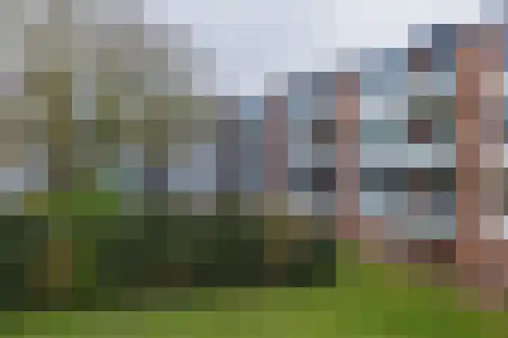 Faleriolaan 169 Hillegom