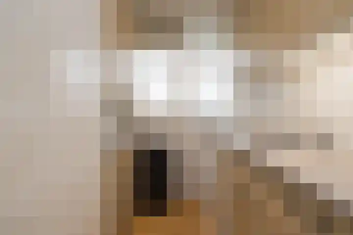 Faleriolaan 169 Hillegom thumbnail 10