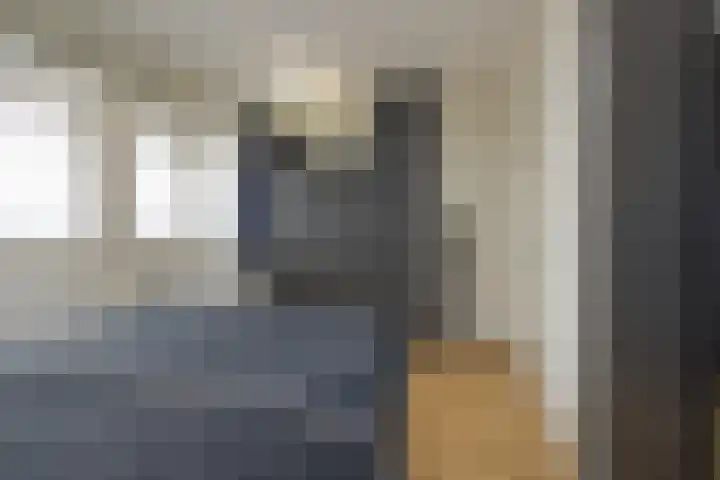 Faleriolaan 169 Hillegom thumbnail 16