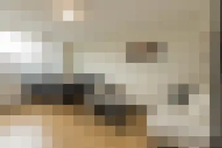 Faleriolaan 169 Hillegom thumbnail 17