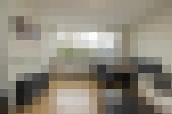 Faleriolaan 169 Hillegom thumbnail 18