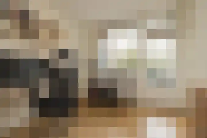 Faleriolaan 169 Hillegom thumbnail 22