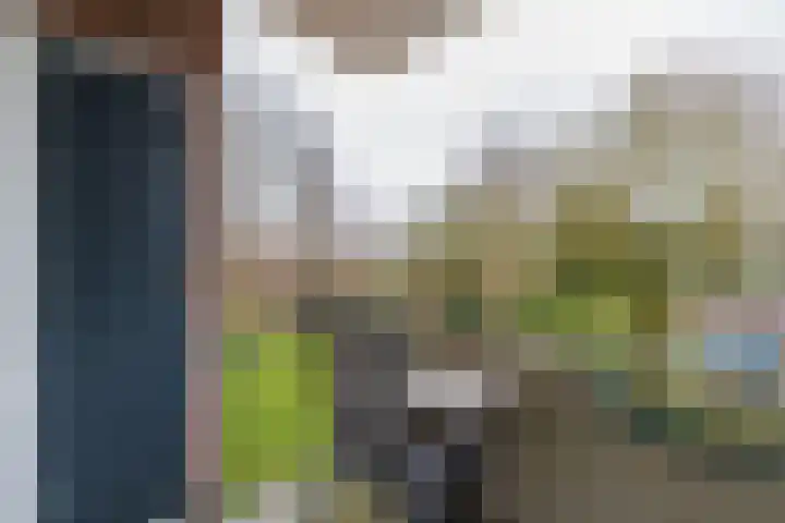 Faleriolaan 169 Hillegom thumbnail 25