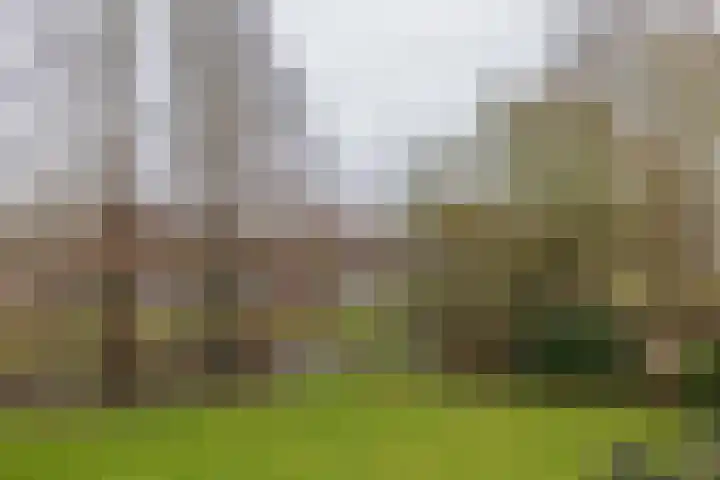 Faleriolaan 169 Hillegom thumbnail 26