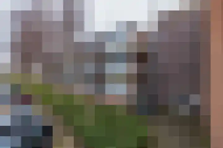 Faleriolaan 169 Hillegom thumbnail 5