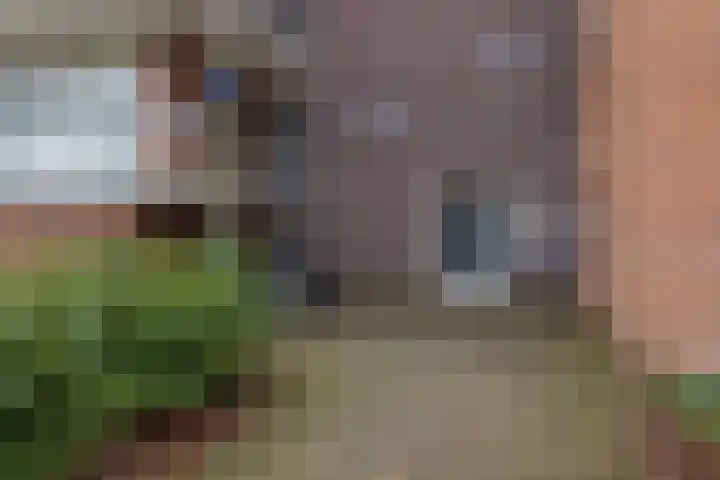 Faleriolaan 169 Hillegom thumbnail 6
