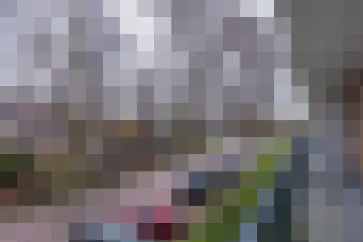 Faleriolaan 169 Hillegom thumbnail 7