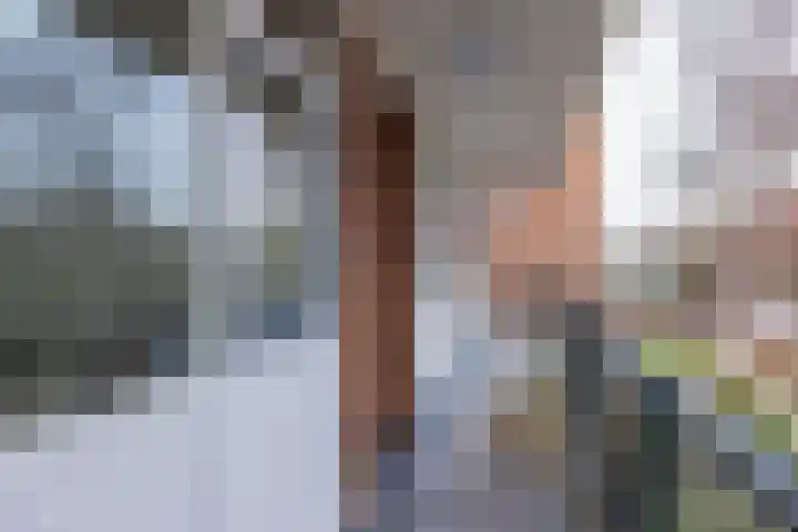 Faleriolaan 169 Hillegom thumbnail 8