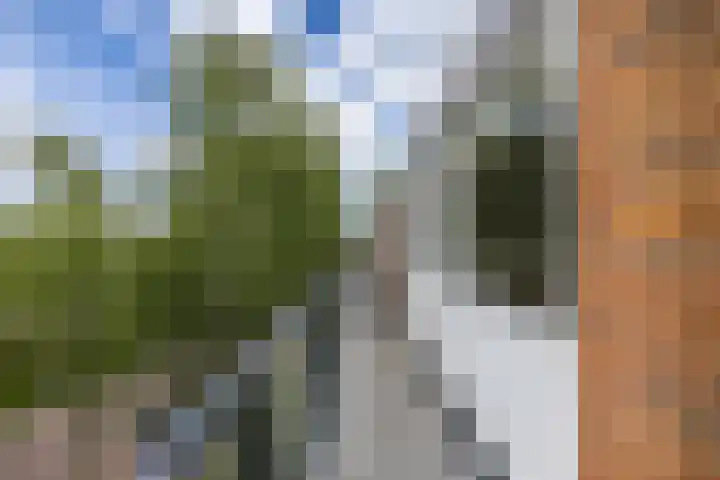 Faleriolaan 177 Hillegom thumbnail 12