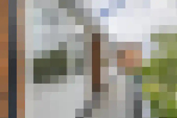Faleriolaan 177 Hillegom thumbnail 13