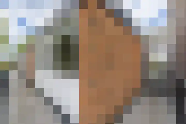 Faleriolaan 177 Hillegom thumbnail 14