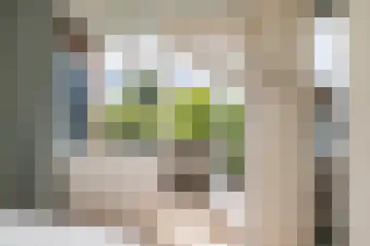 Faleriolaan 177 Hillegom thumbnail 21