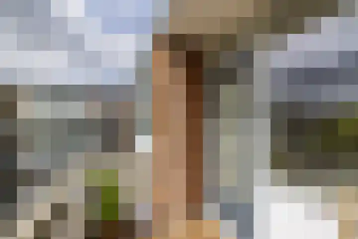 Faleriolaan 177 Hillegom thumbnail 30