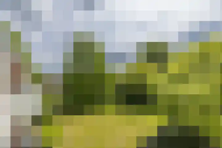 Faleriolaan 177 Hillegom thumbnail 31