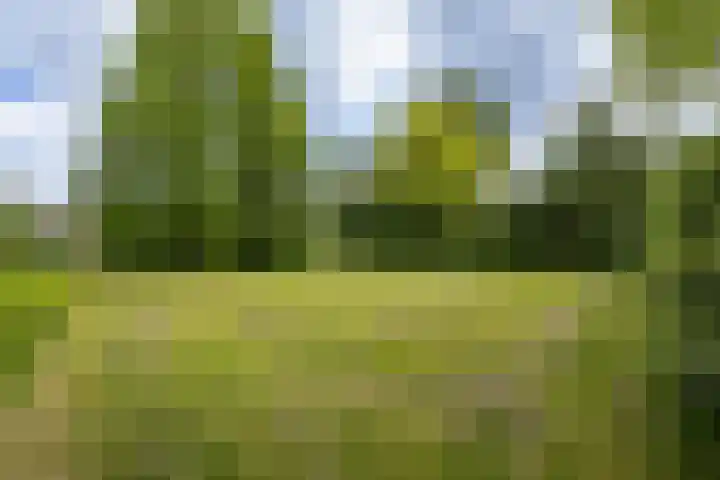 Faleriolaan 177 Hillegom thumbnail 34