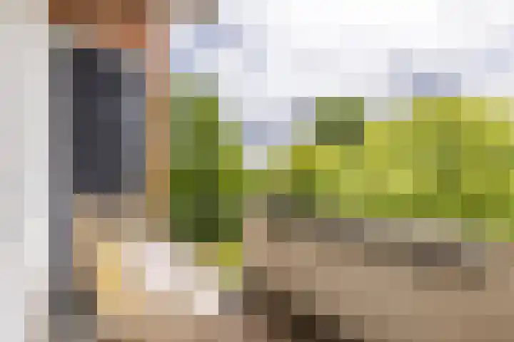 Faleriolaan 177 Hillegom thumbnail 7