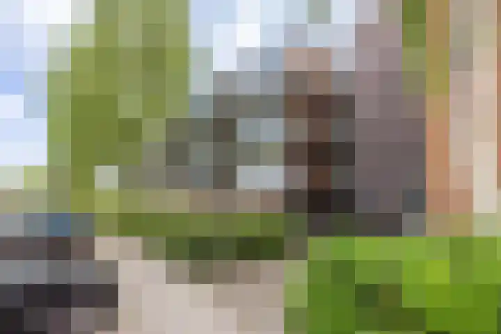 Faleriolaan 177 Hillegom thumbnail 9