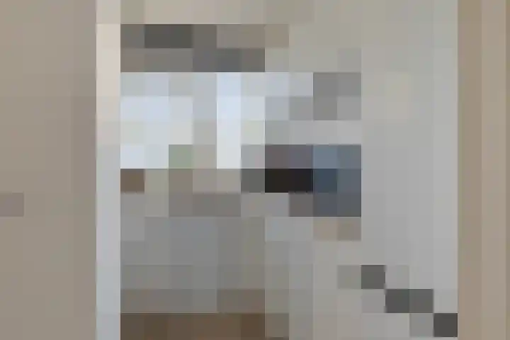 Faleriolaan 191 Hillegom thumbnail 14