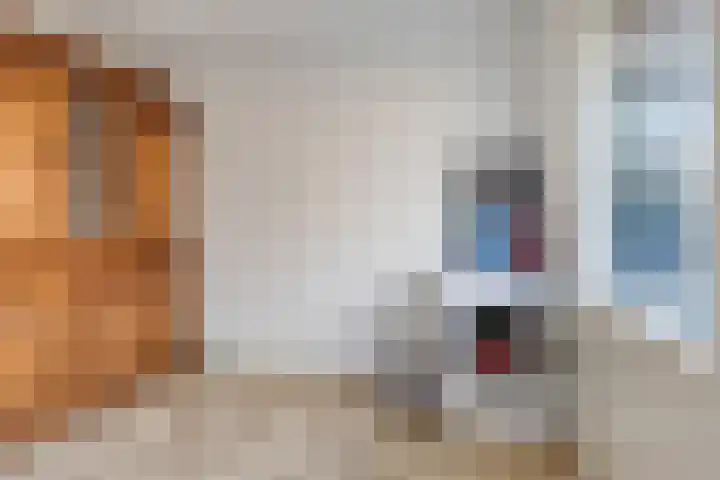 Faleriolaan 191 Hillegom thumbnail 22