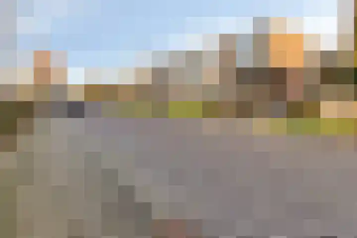 Faleriolaan 191 Hillegom thumbnail 24