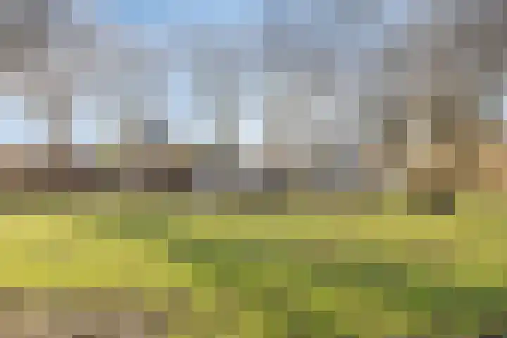 Faleriolaan 191 Hillegom thumbnail 25