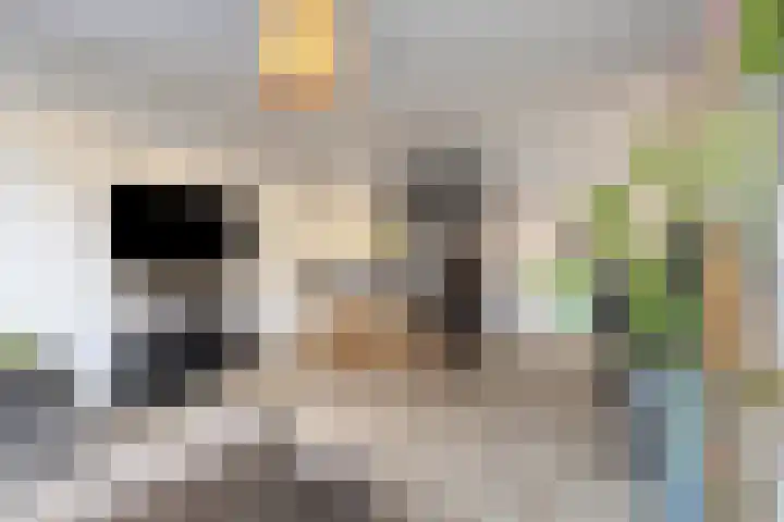 Faleriolaan 191 Hillegom thumbnail 8