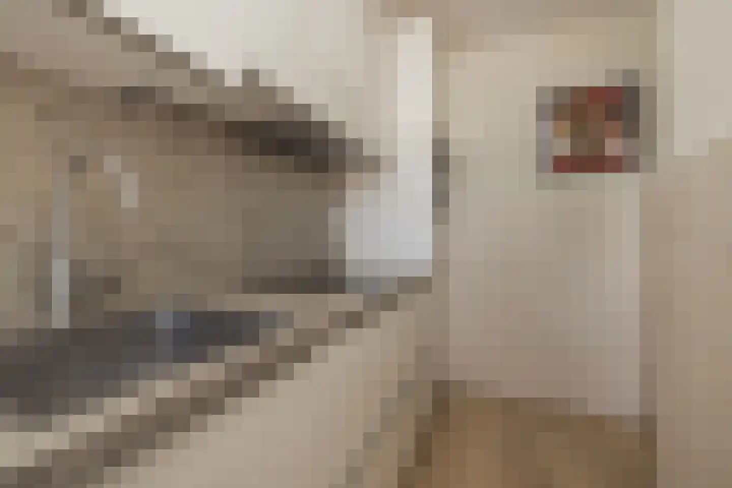 Faleriolaan 193 Hillegom thumbnail 14