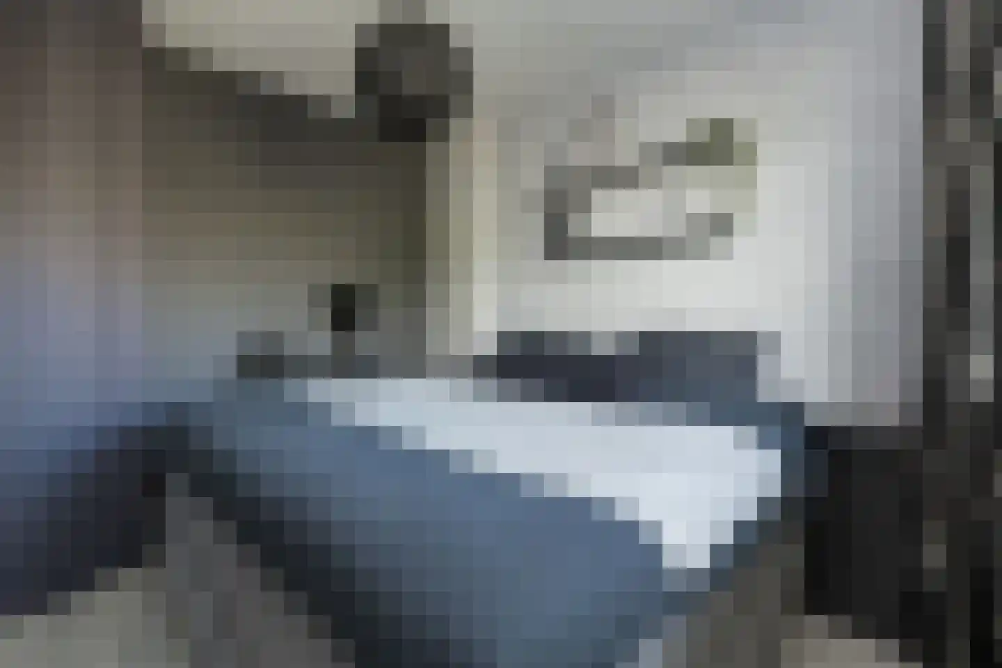 Faleriolaan 201 Hillegom thumbnail 15