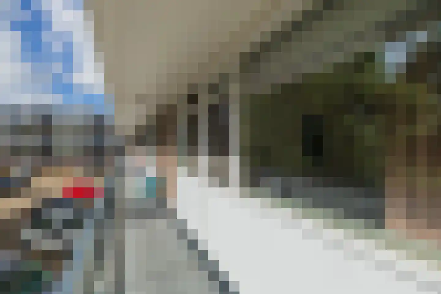 Faleriolaan 201 Hillegom thumbnail 43