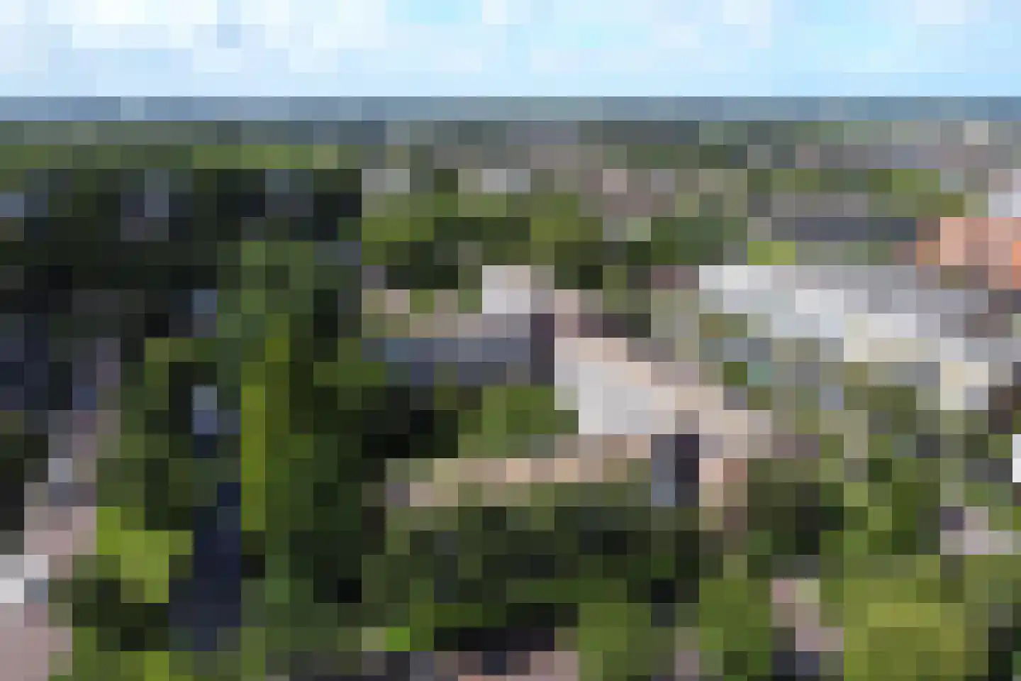 Faleriolaan 201 Hillegom thumbnail 48