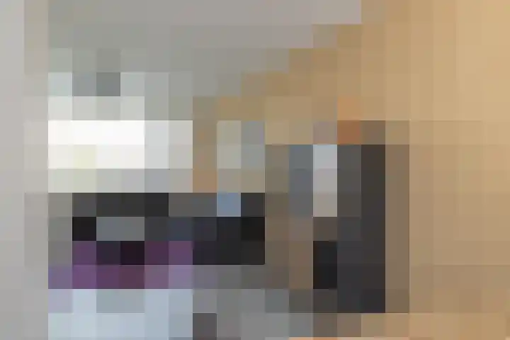 Faleriolaan 205 Hillegom thumbnail 13