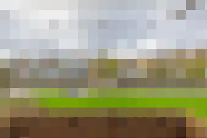 Faleriolaan 205 Hillegom thumbnail 29