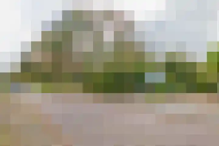 Faleriolaan 205 Hillegom thumbnail 32