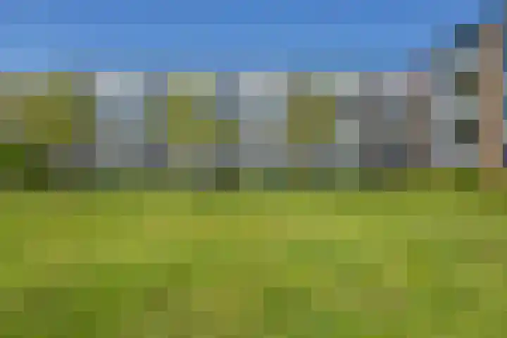 Faleriolaan 299 en Hillegom