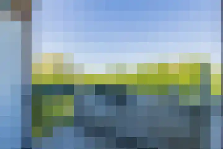 Faleriolaan 299 Hillegom thumbnail 18
