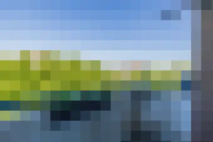 Faleriolaan 299 Hillegom thumbnail 19